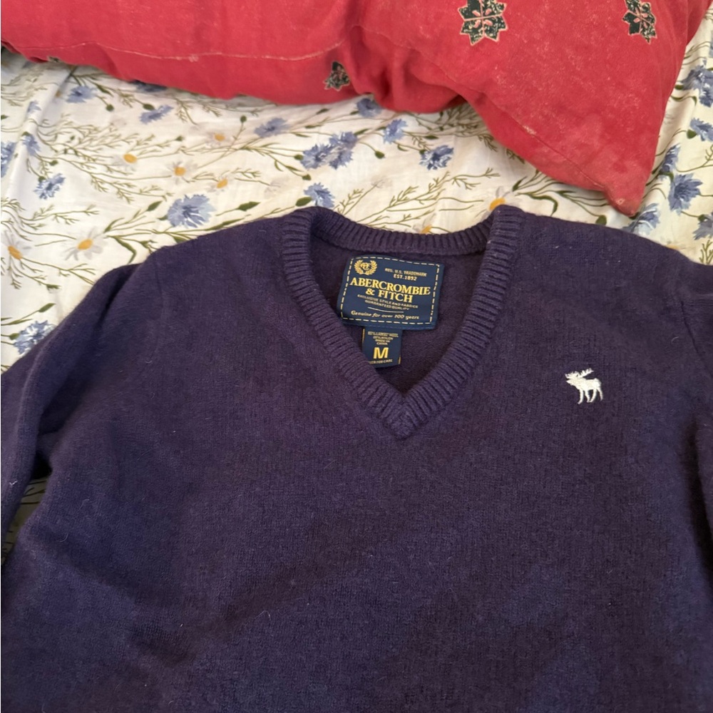 Abercrombie & Fitch Women’s wool Deep Purple V-Neck Sweater